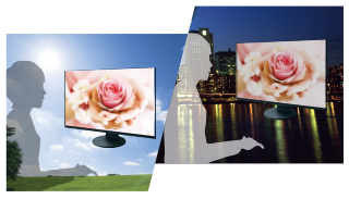 Monitor EIZO FlexScan EV2451